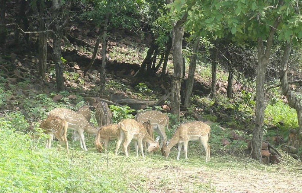 Van Vihar National Park